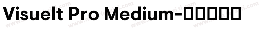 Visuelt Pro Medium字体转换